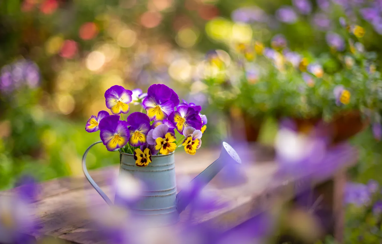 Photo wallpaper flowers, bench, yellow, blur, garden, shop, lake, Pansy