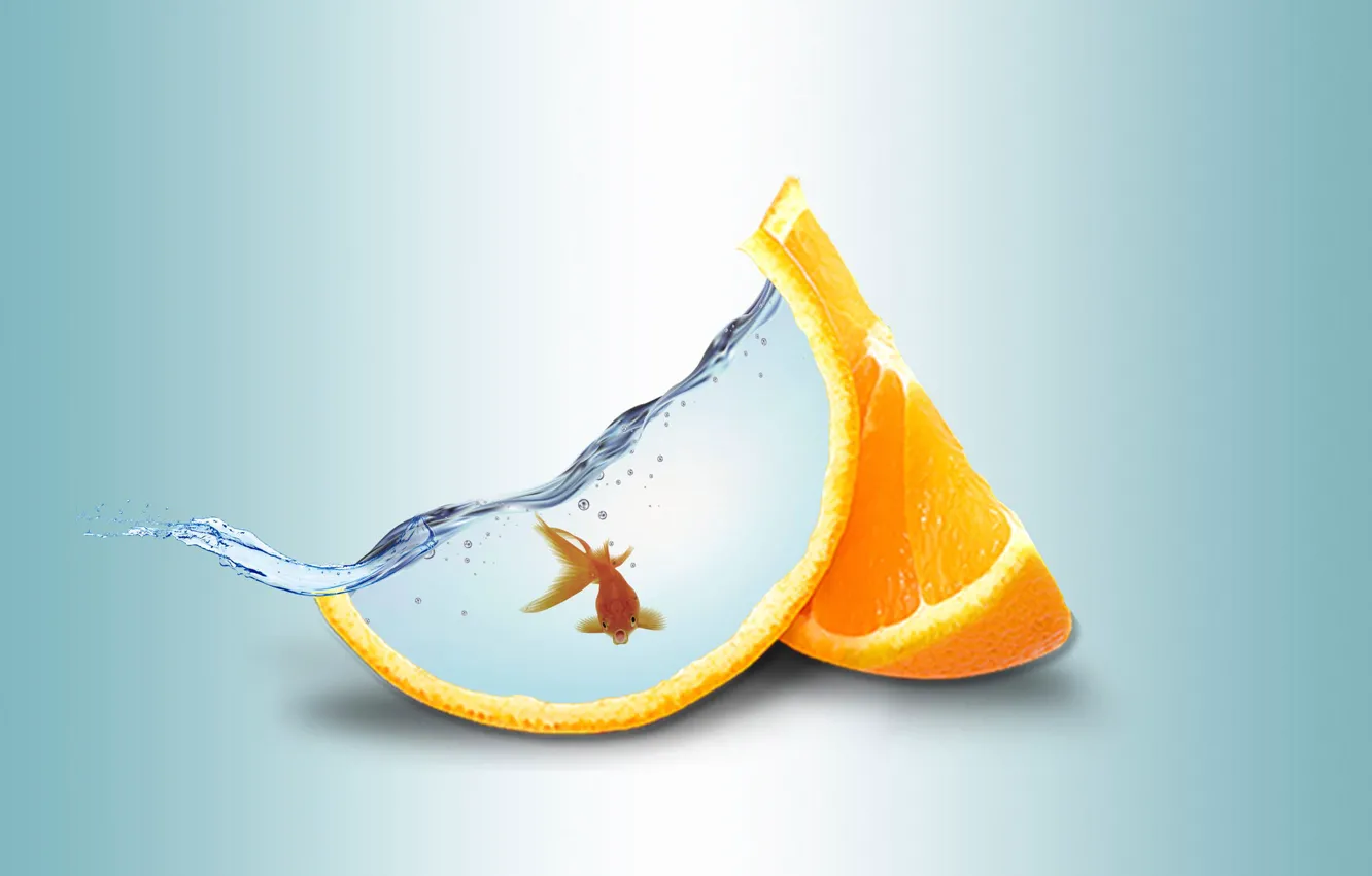 Photo wallpaper water, orange, goldfish