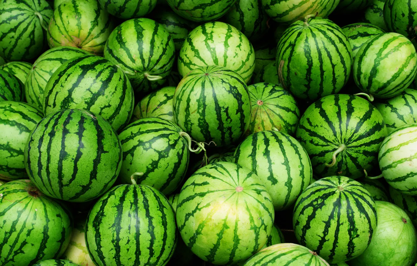 Photo wallpaper green, fruit, watermelon