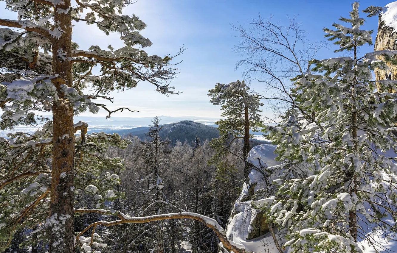 Photo wallpaper winter, forest, mountains, Bashkiria, crimson mountain