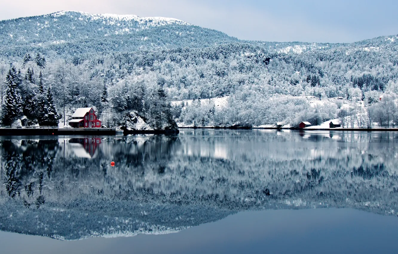 Photo wallpaper winter, forest, the sky, trees, lake, hill, house