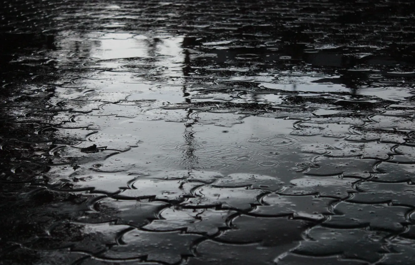 Photo wallpaper rain, dark, puddle, h\b