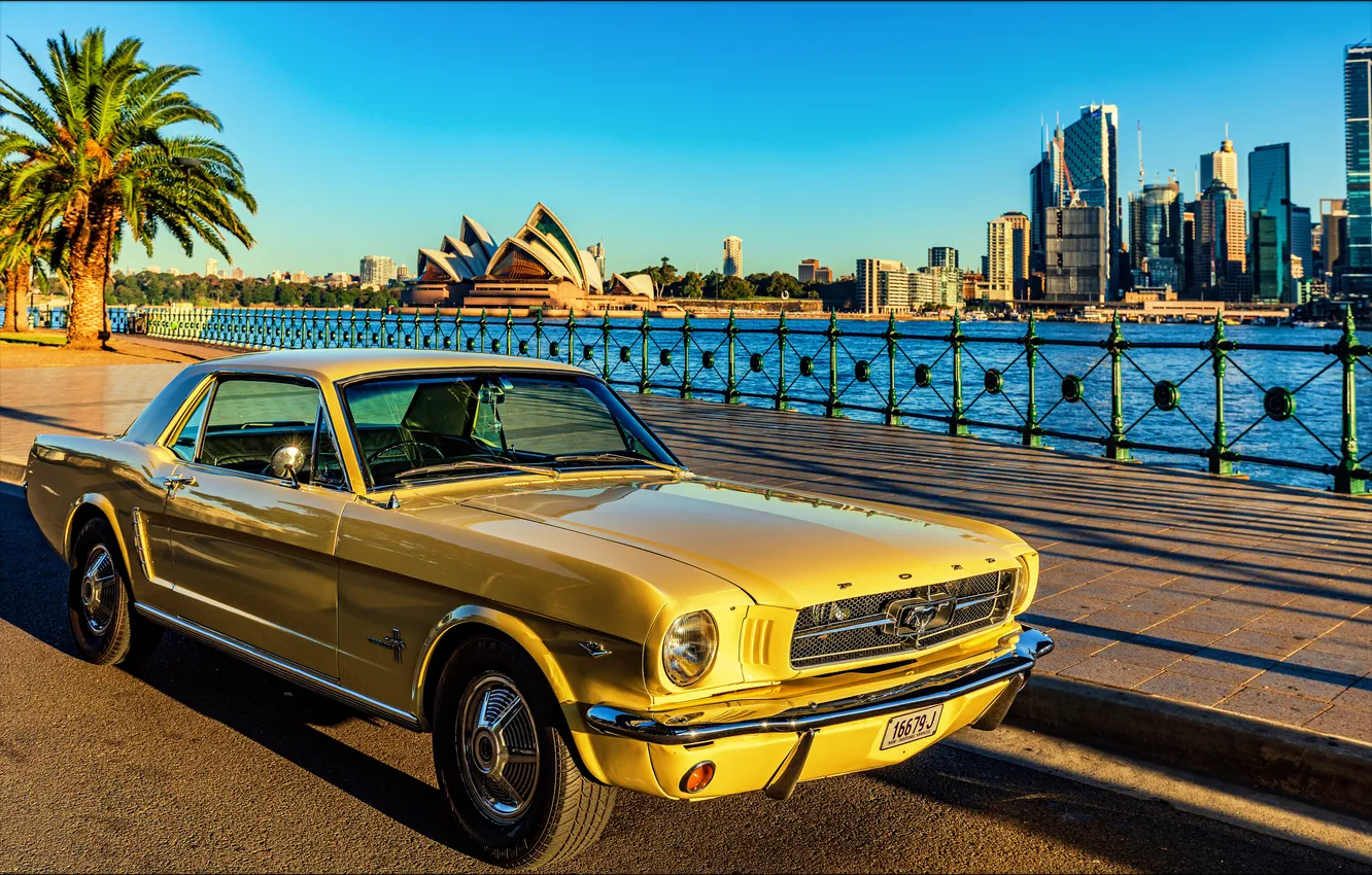 Photo wallpaper car, Ford, wallpaper