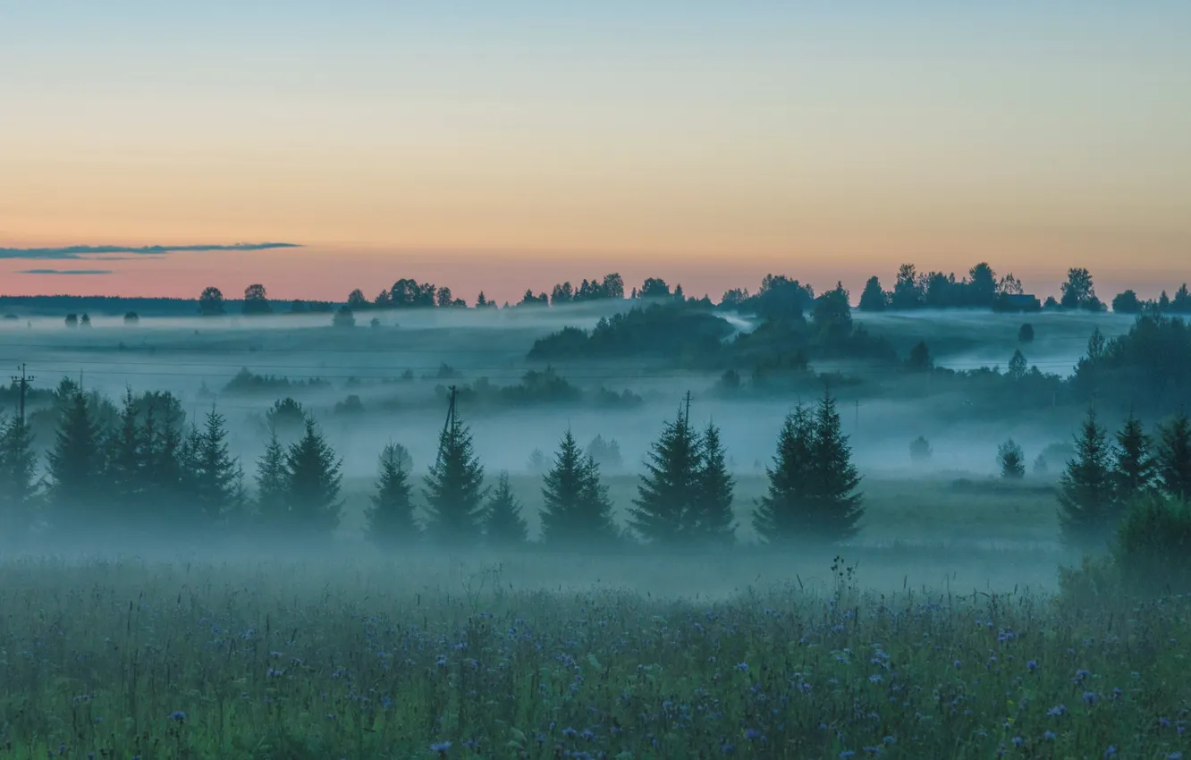 Photo wallpaper fog, the evening, expanse