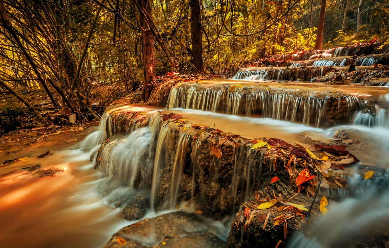 Photo wallpaper autumn, forest, branches, nature, stones, rocks, foliage, waterfall