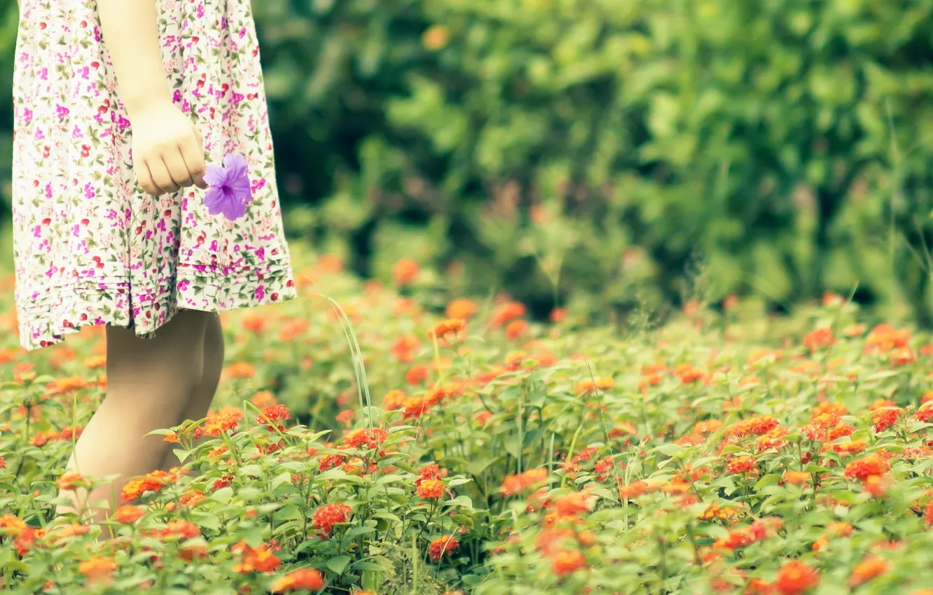 Photo wallpaper field, flowers, mood, girl