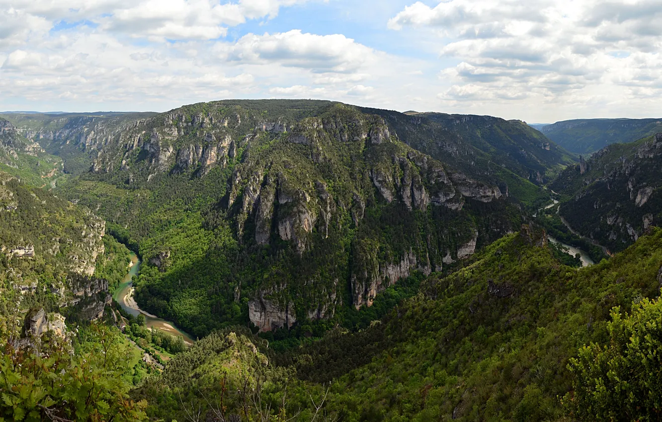 Photo wallpaper forest, the sky, clouds, trees, mountains, river, gorge