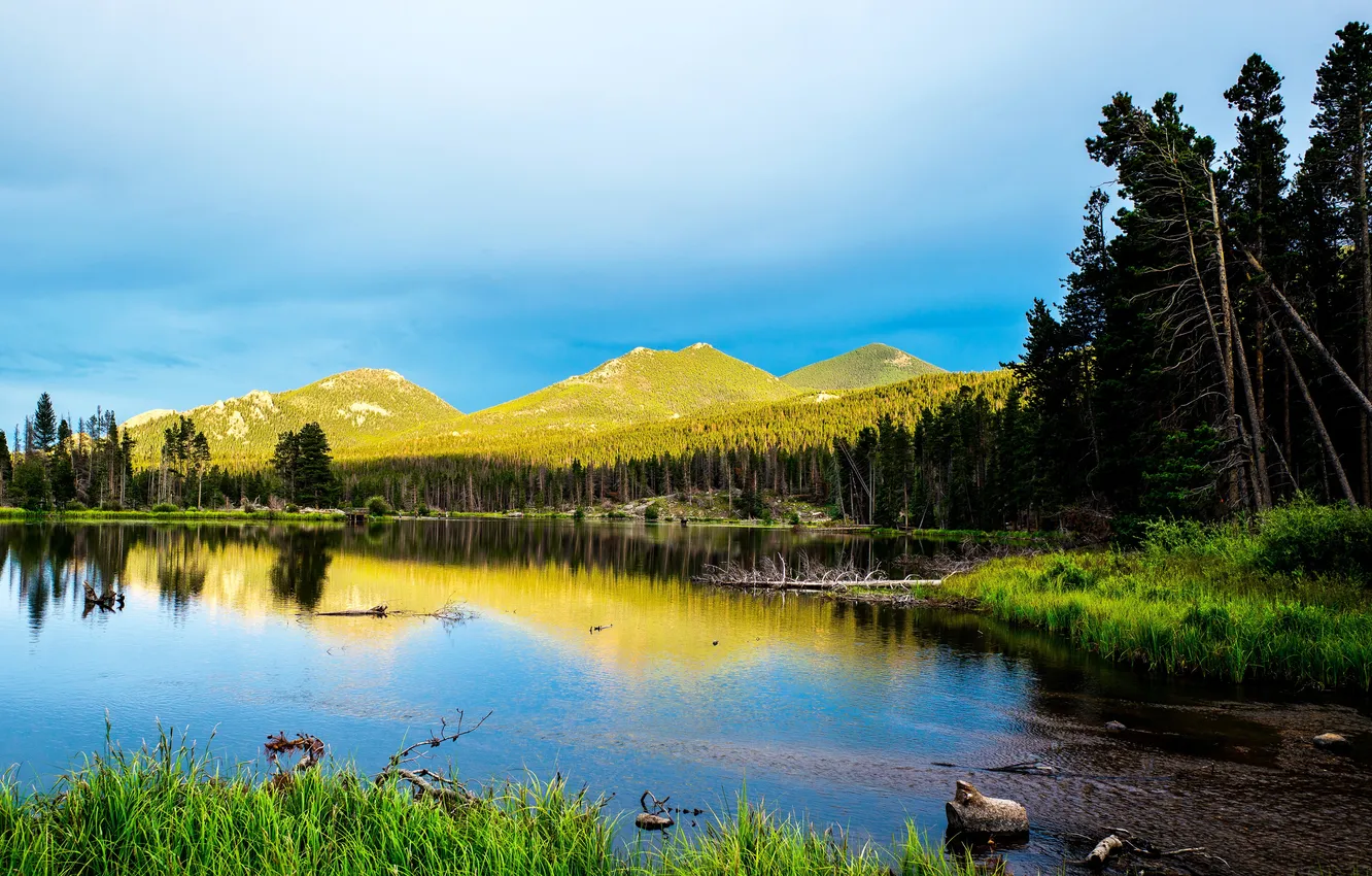 Photo wallpaper forest, grass, trees, mountains, lake, stones, shore, USA