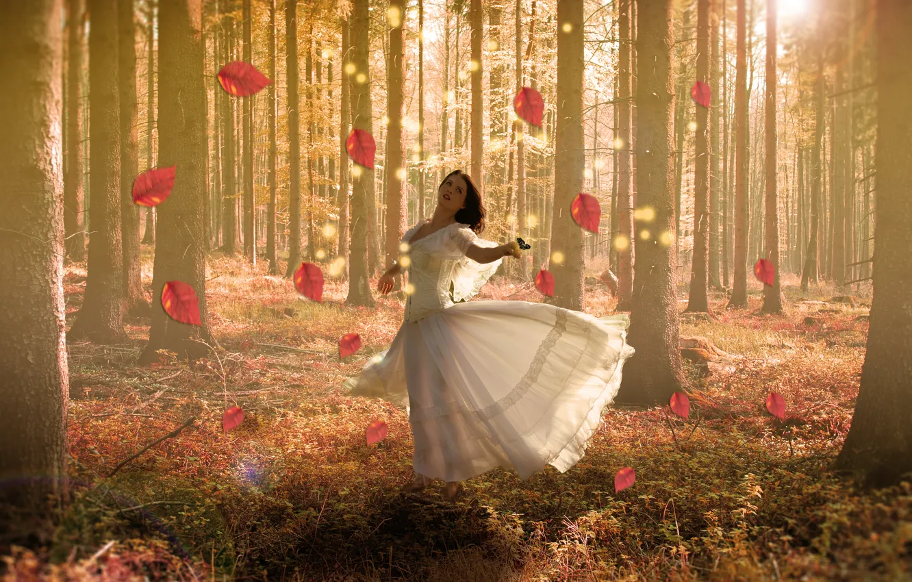 Photo wallpaper forest, leaves, girl, dress, brown hair
