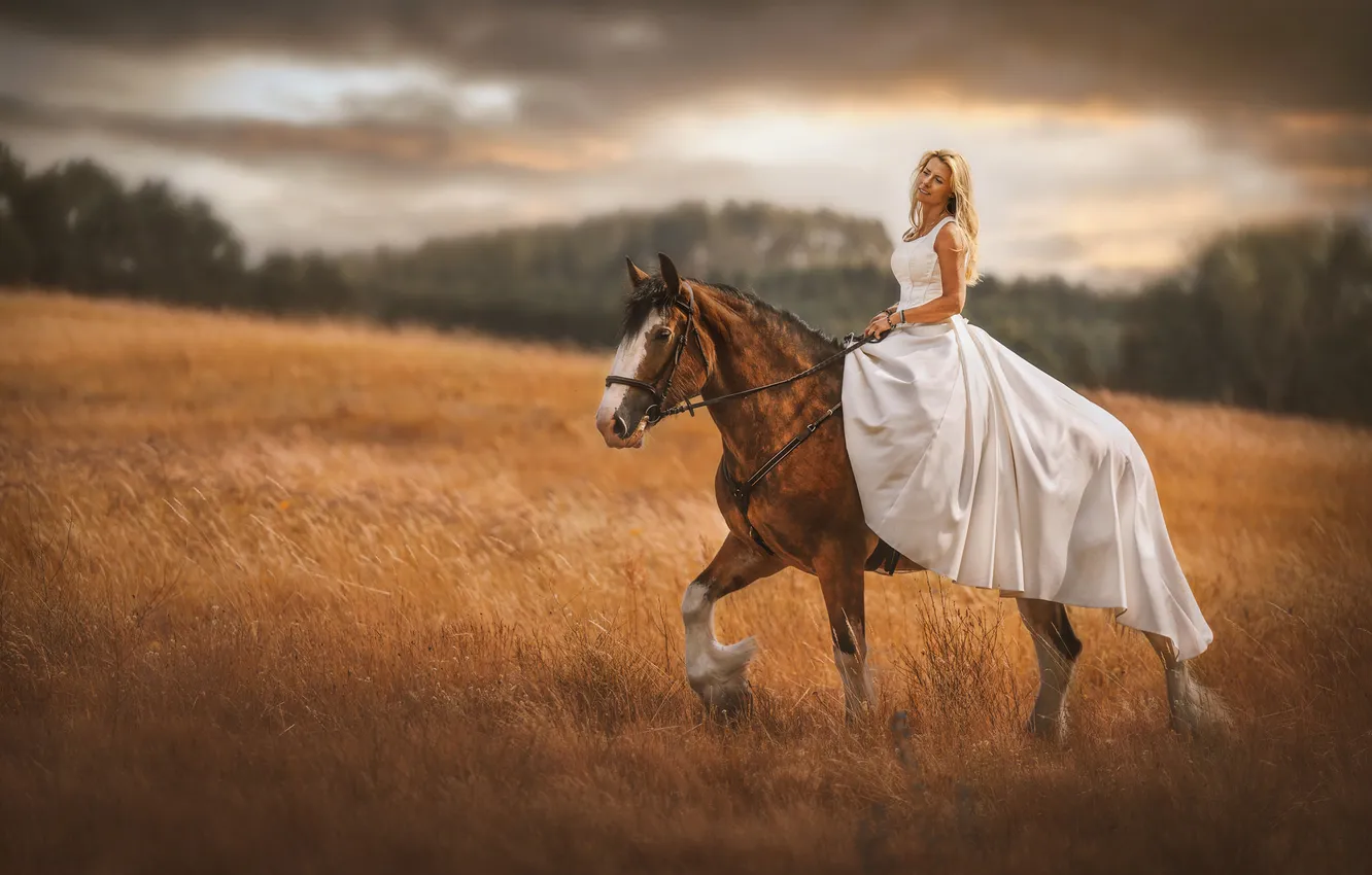 Photo wallpaper field, girl, nature, horse, woman, horse, top, on horseback