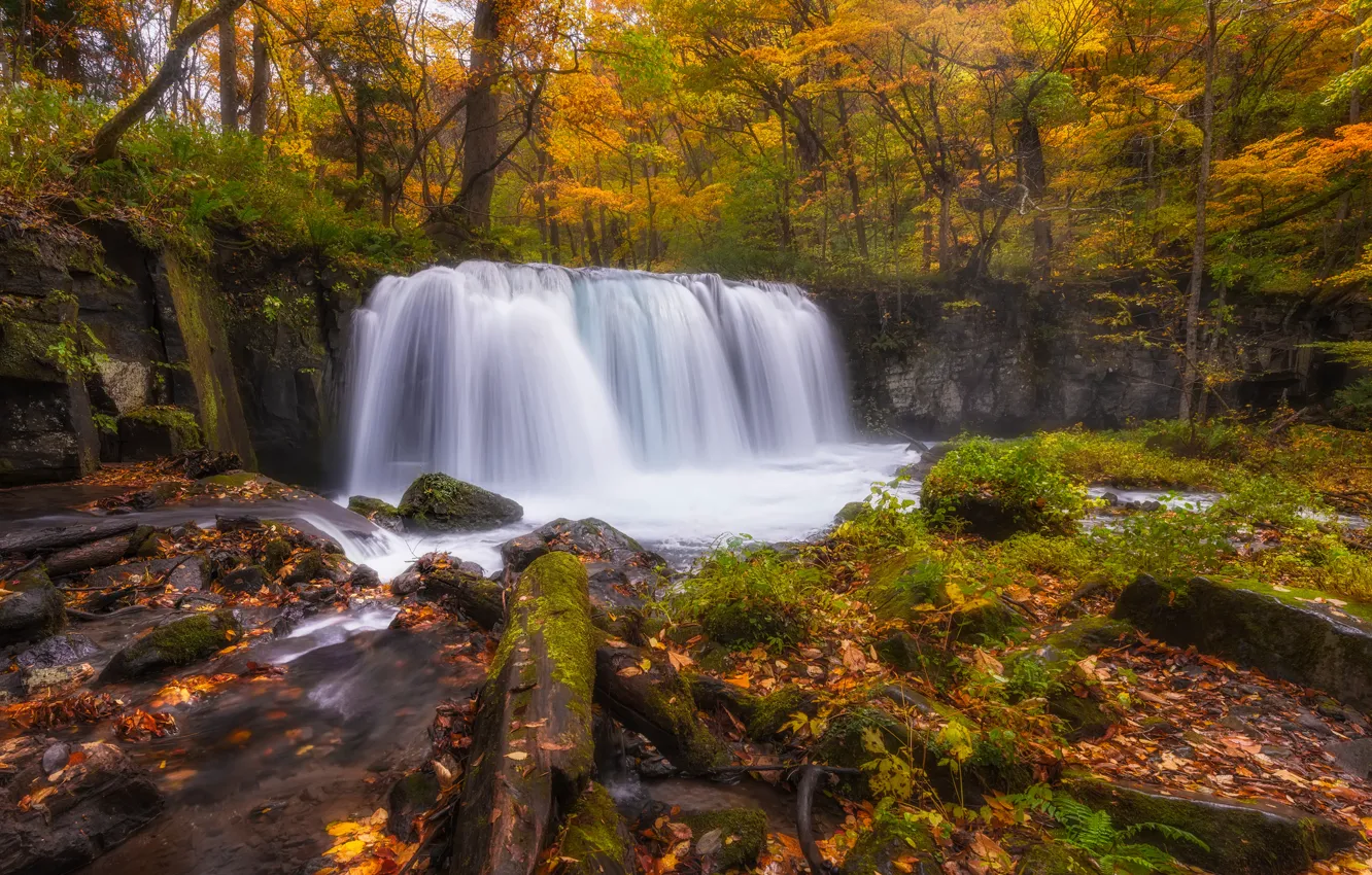 Photo wallpaper autumn, forest, river, waterfall