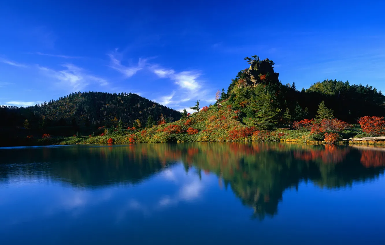Photo wallpaper forest, water, lake, reflection, Japan