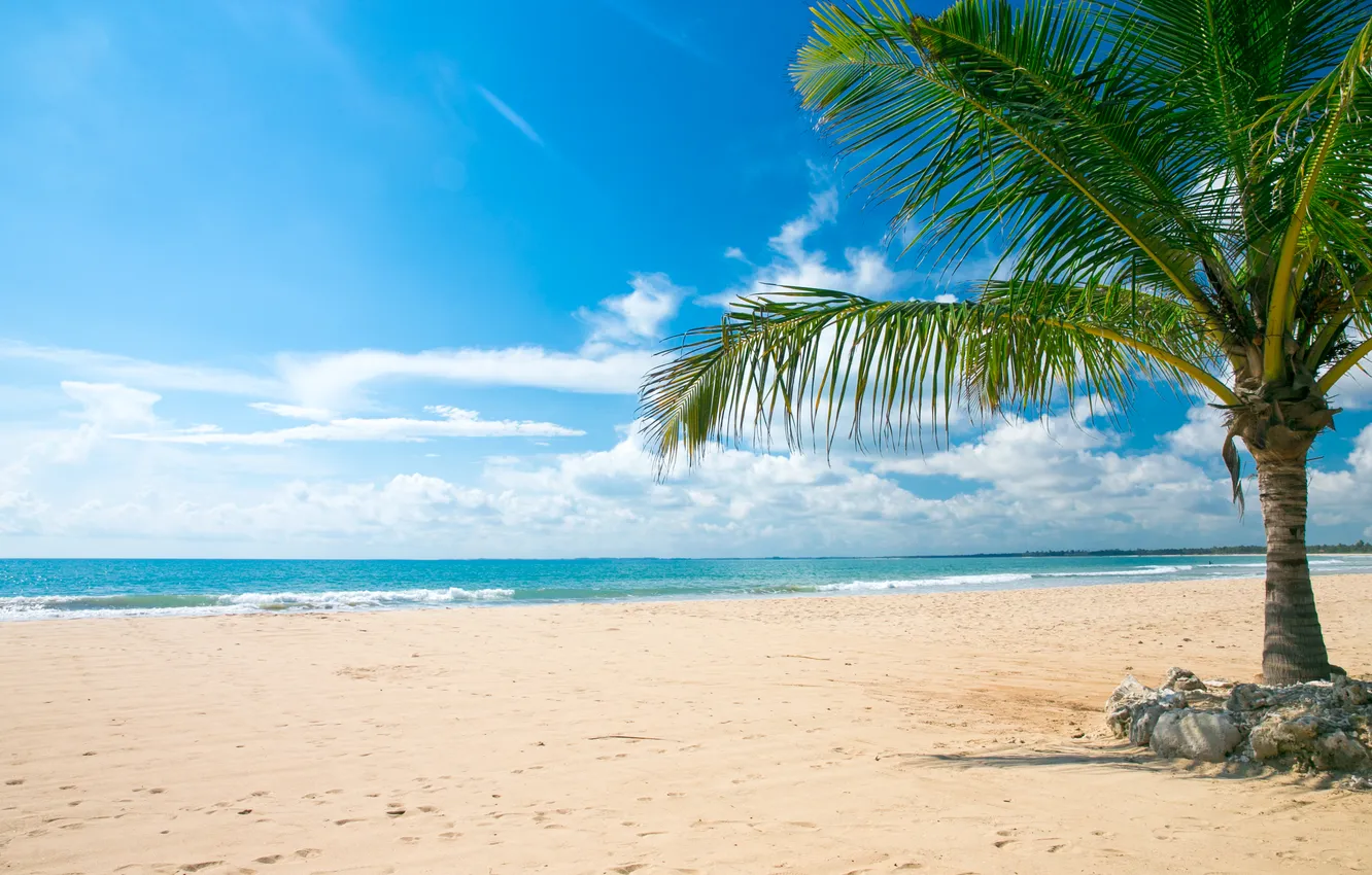 Photo wallpaper sand, sea, wave, beach, summer, the sky, palm trees, shore