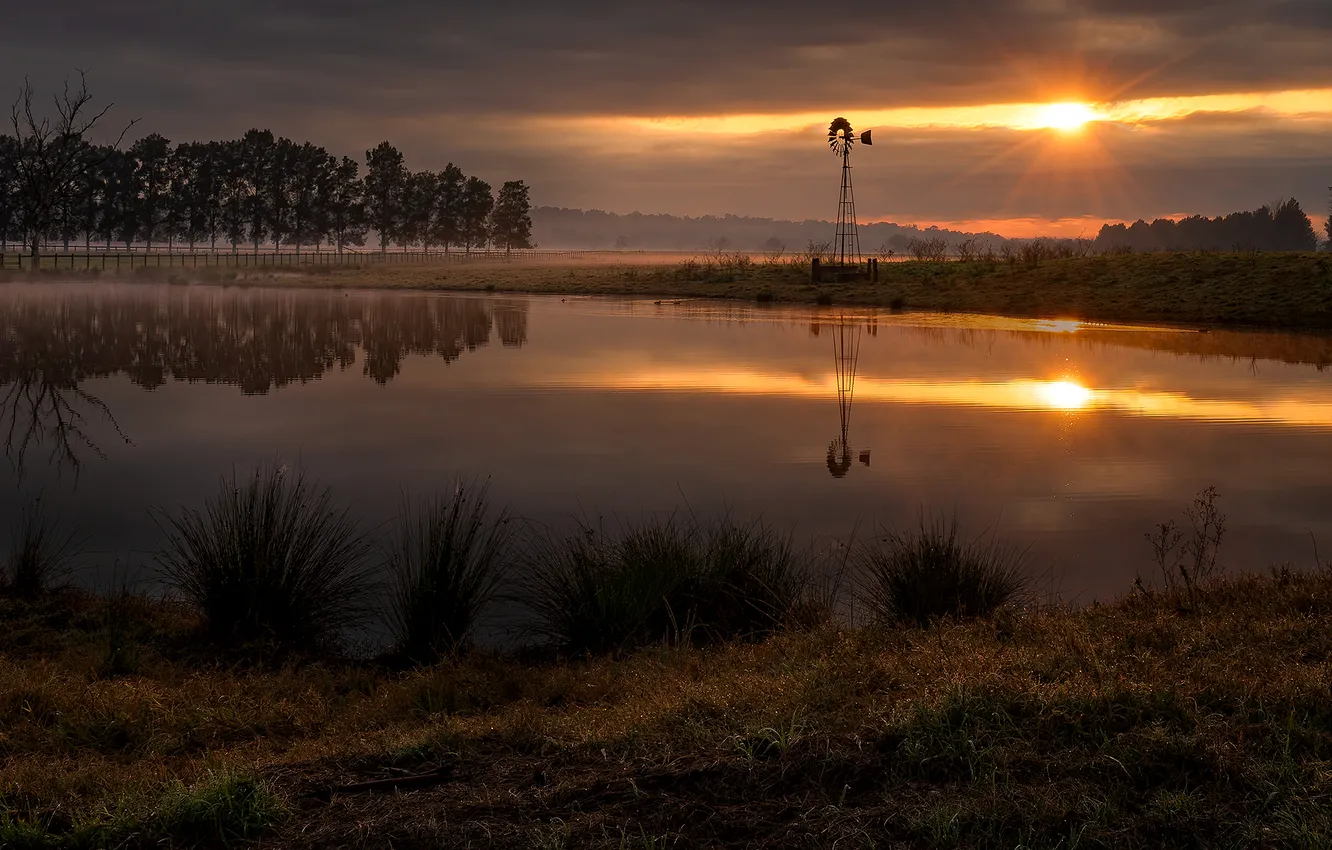 Photo wallpaper night, nature, river
