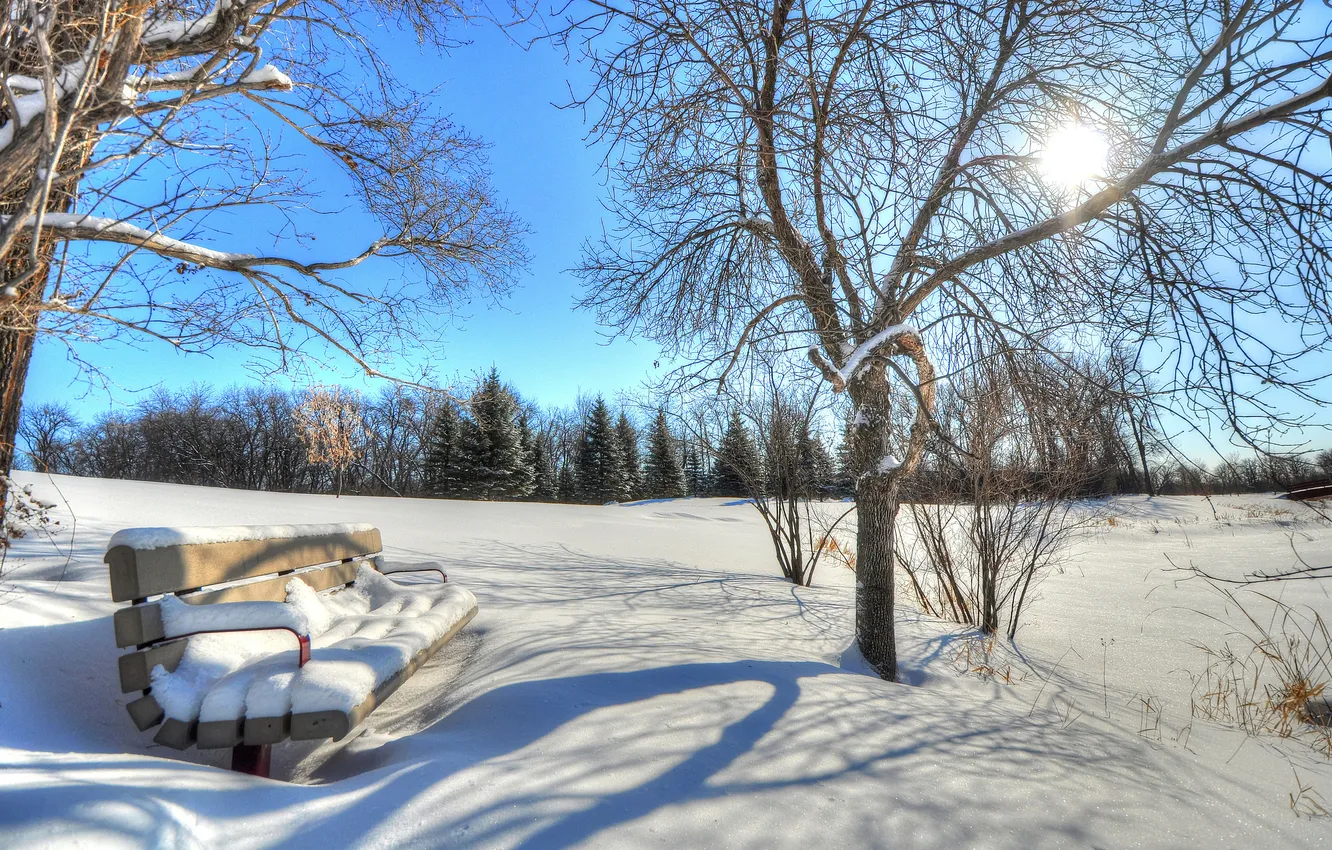 Photo wallpaper winter, the sky, the sun, rays, snow, trees, Park, bench