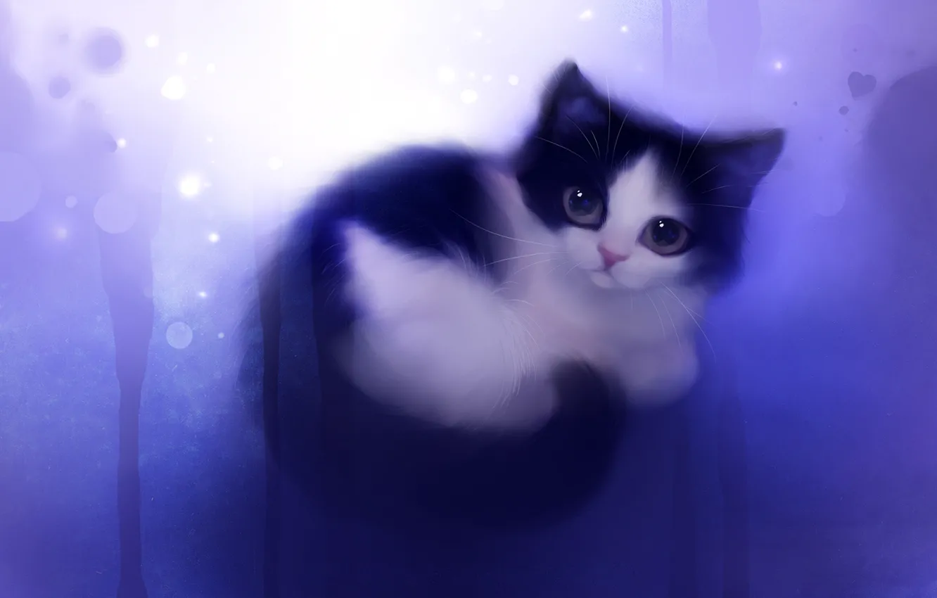 Photo wallpaper cat, look, figure, artist, kitty, apofiss, a ball, WISH