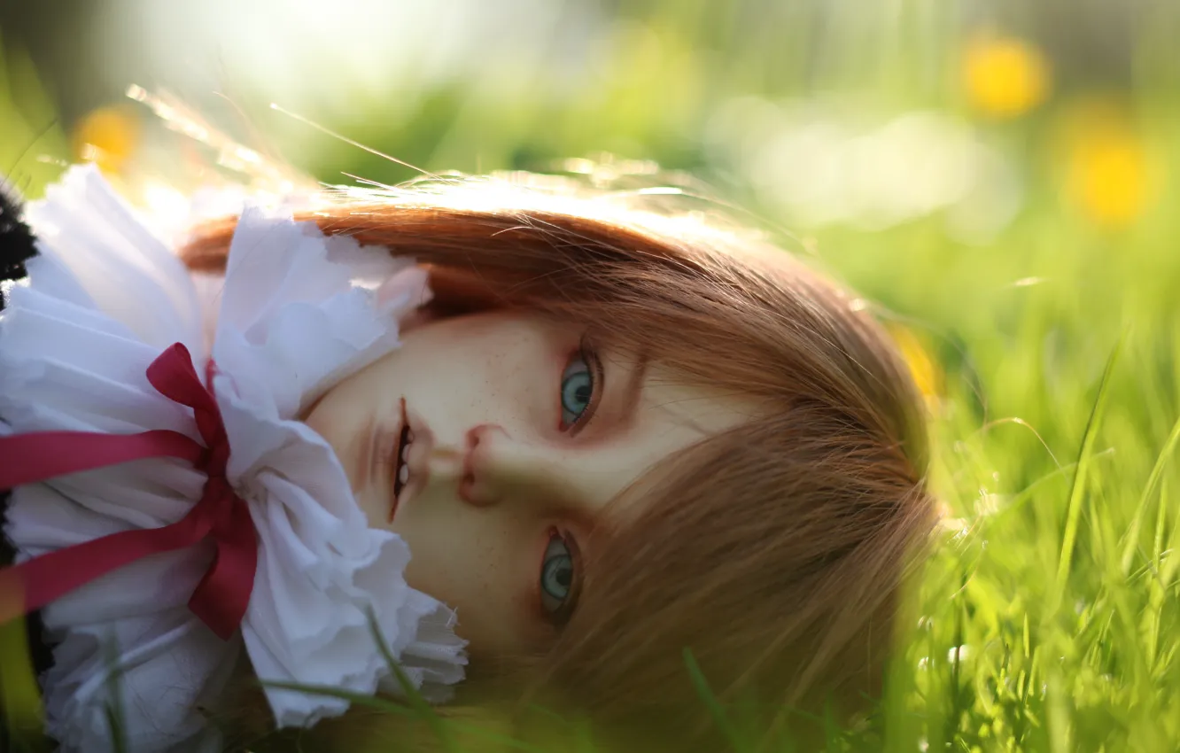 Photo wallpaper grass, doll, blue eyes, doll, BJD, jointed doll