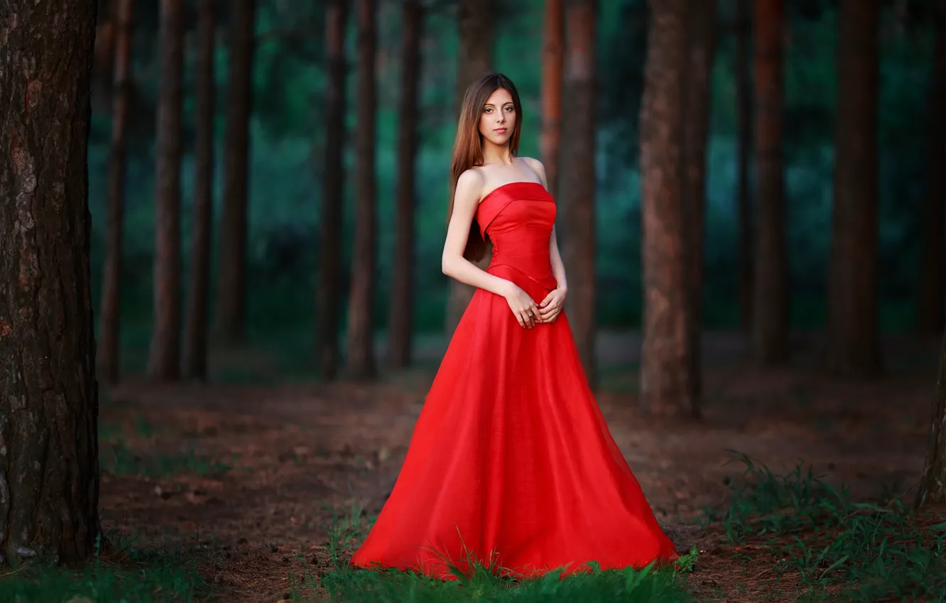 Photo wallpaper forest, look, figure, in red, Lady in Red
