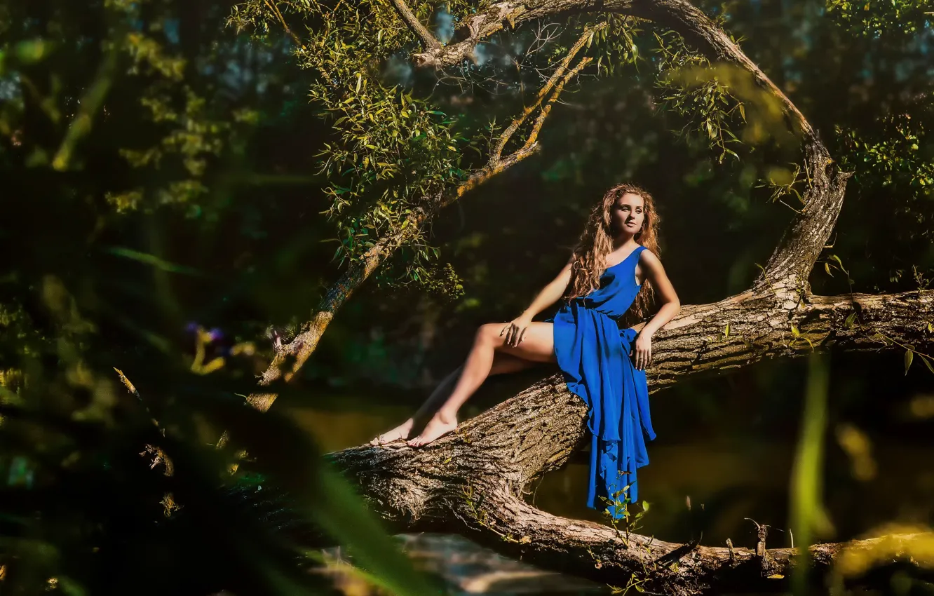 Photo wallpaper summer, girl, the sun, tree, dress, blue