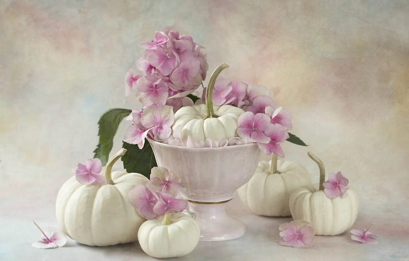 Photo wallpaper flowers, bouquet, pumpkin, vase, pink, white, still life, hydrangea
