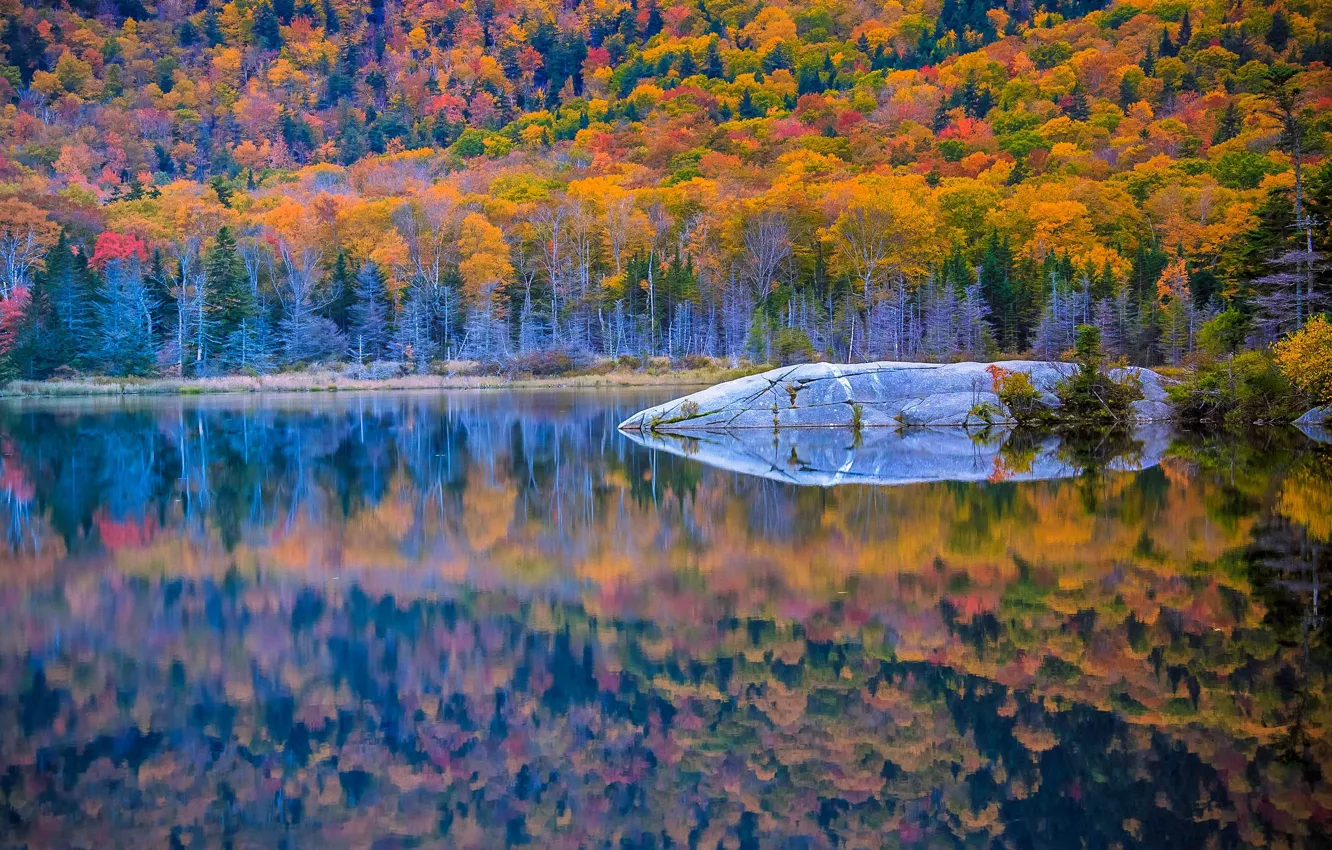 Photo wallpaper autumn, forest, landscape, nature, lake, beauty