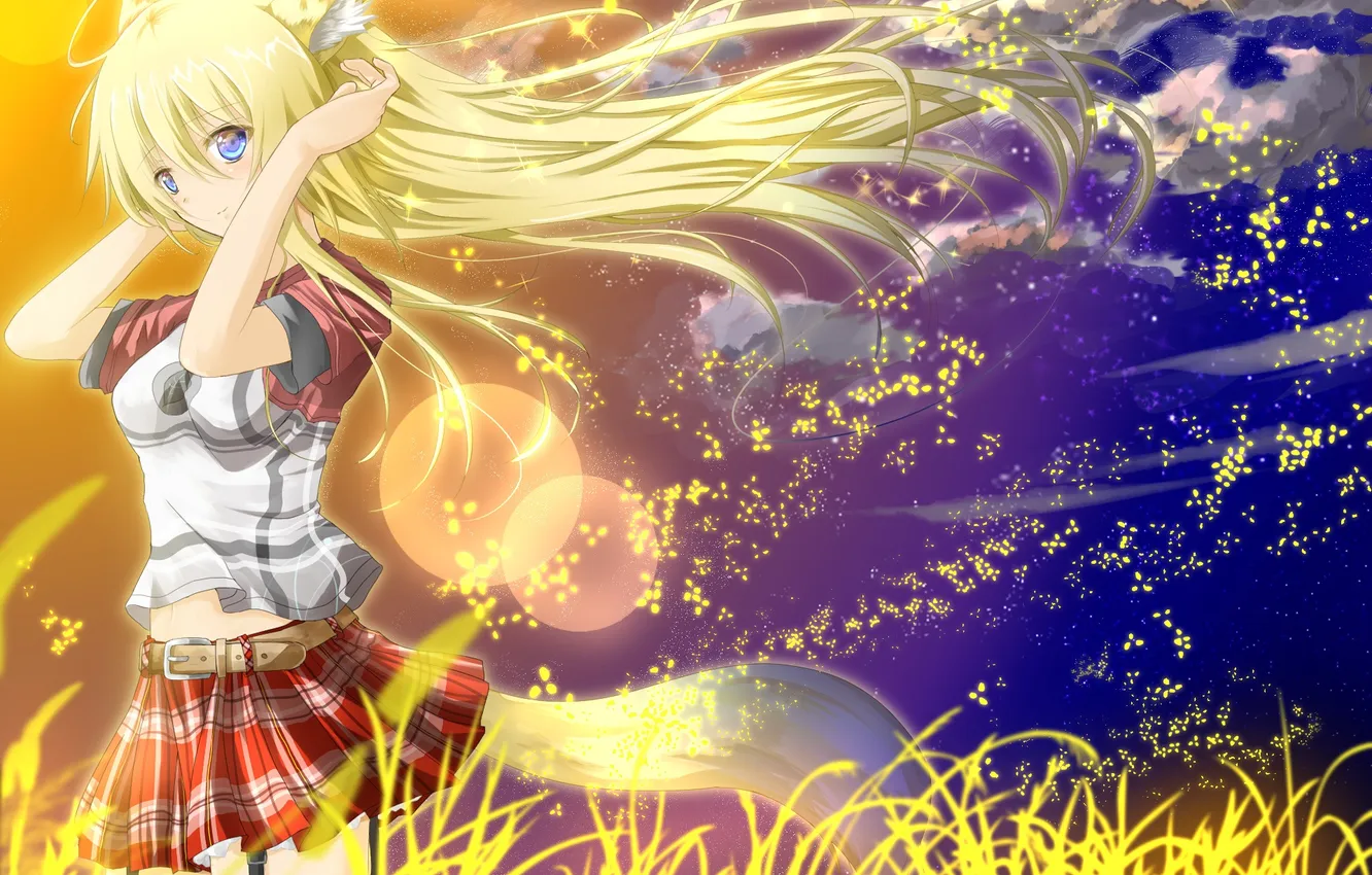 Photo wallpaper field, girl, sunset, smile, magic, tail, ears, art