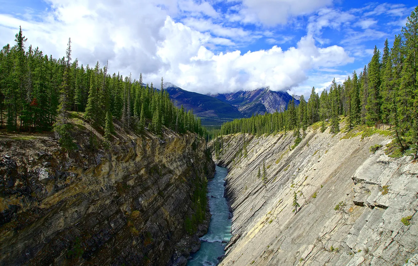 Photo wallpaper forest, the sky, clouds, trees, mountains, river, rocks, Canada