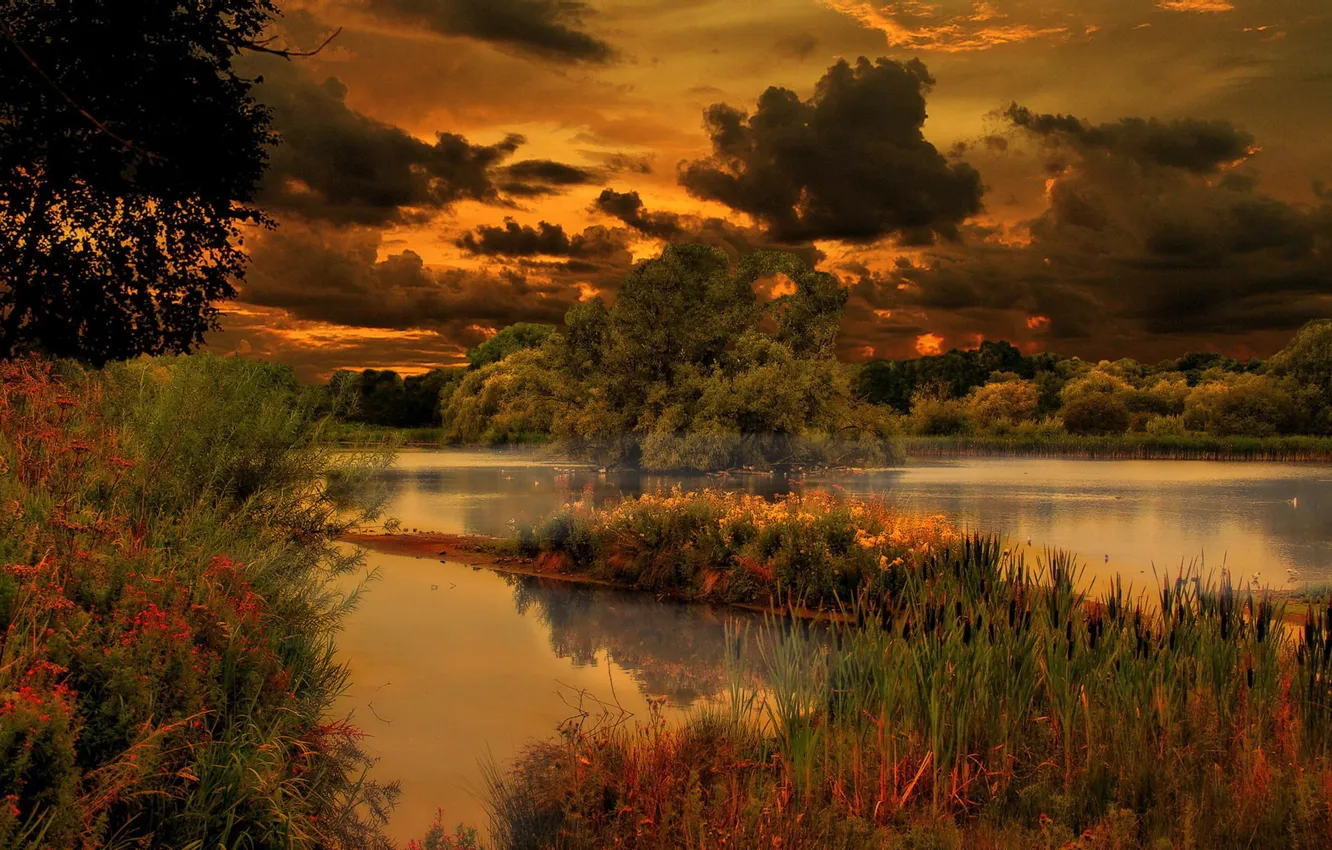 Photo wallpaper grass, trees, sunset, clouds, lake, Nature