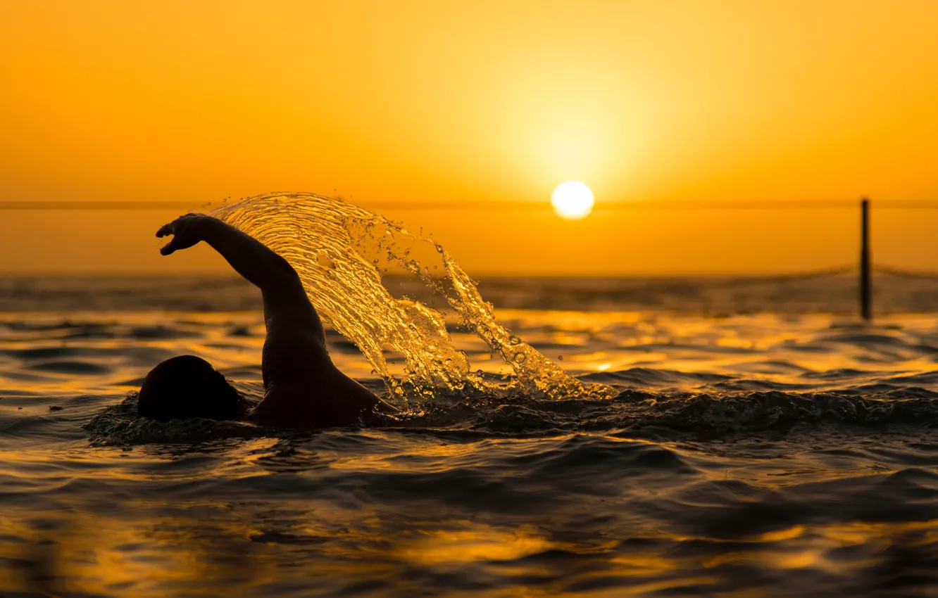 Photo wallpaper the sun, sunset, squirt, pool, swimmer, swimming