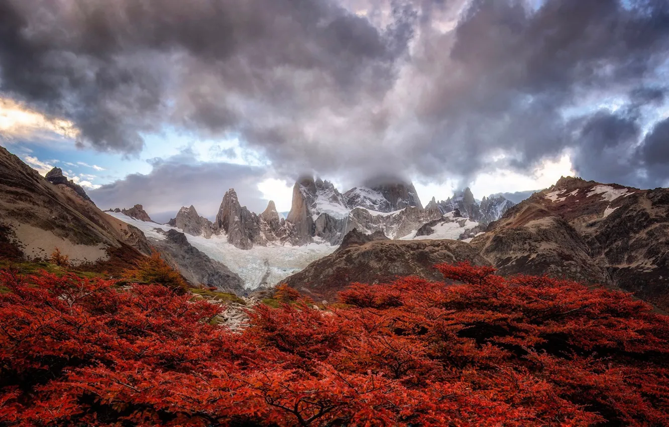 Photo wallpaper autumn, trees, mountains, spring, Andes, South America, able