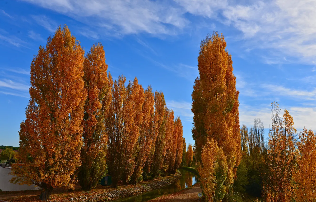 Photo wallpaper autumn, the sky, trees, channel