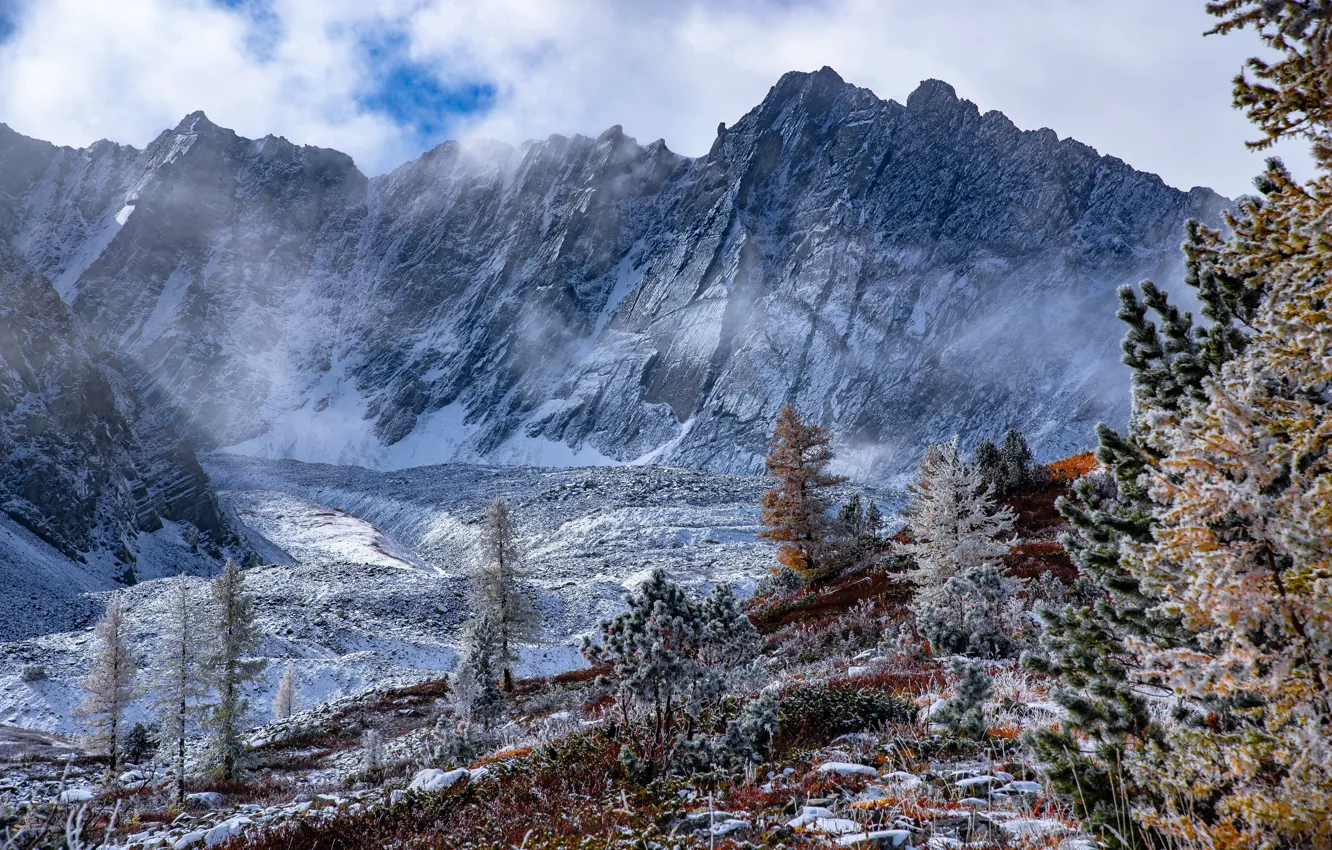 Photo wallpaper clouds, snow, trees, landscape, mountains, nature, Evgeny Drobotenko, Rudny Altai