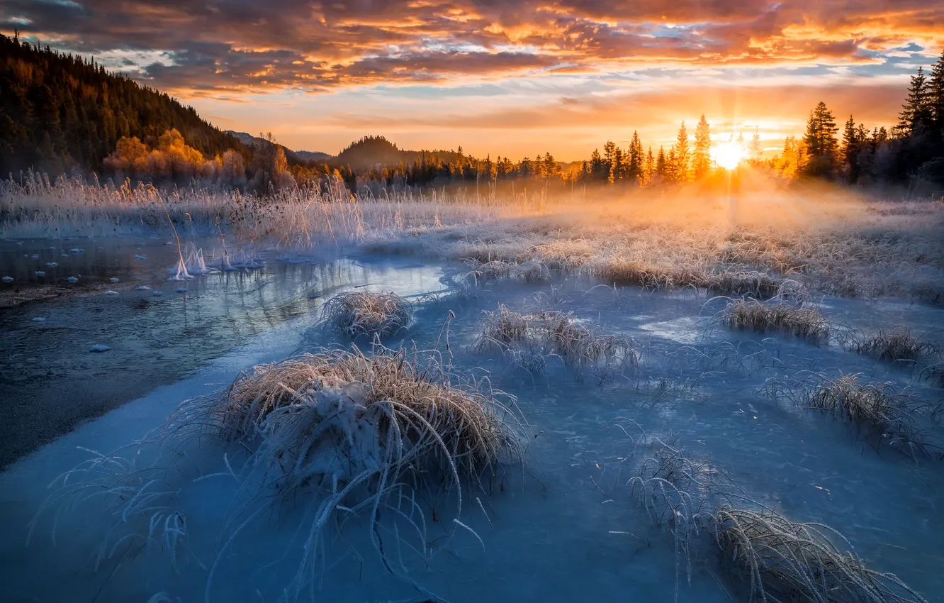 Photo wallpaper winter, field, sunset