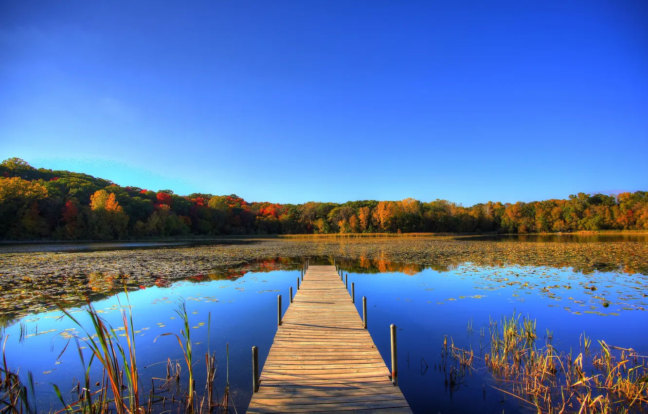 Photo wallpaper autumn, forest, the sky, trees, lake, pond, the bridge