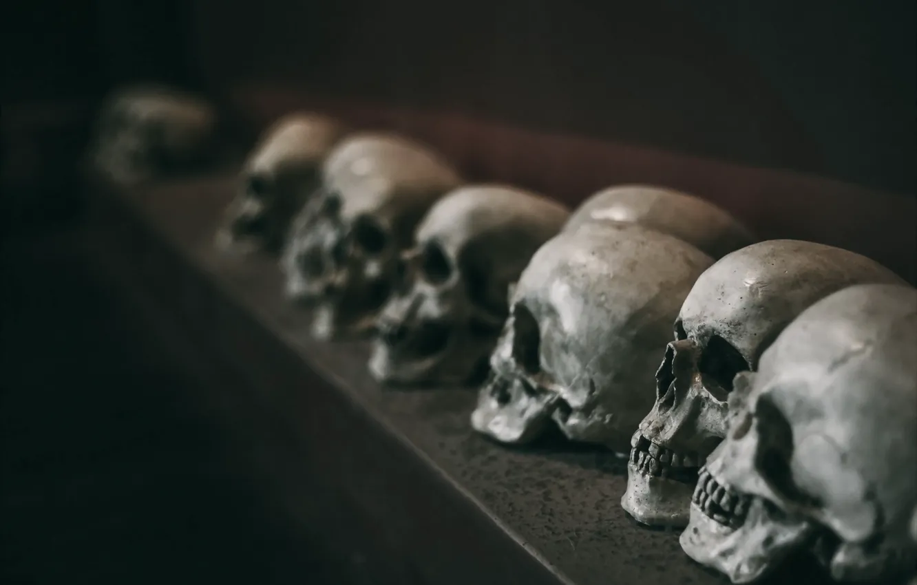 Photo wallpaper background, the darkness, skull