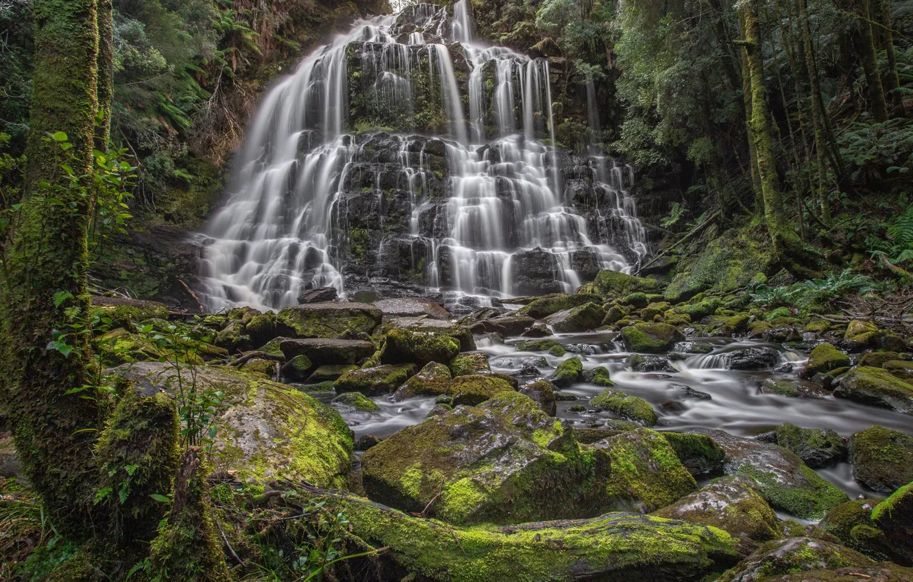 Photo wallpaper forest, stones, waterfall, Australia, river, cascade, Australia, Tasmania