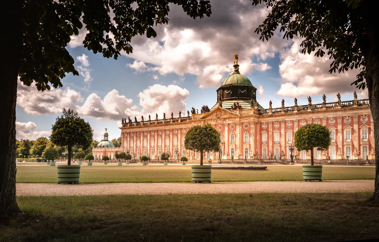 Photo wallpaper trees, Park, Germany, Germany, Palace, Potsdam, Potsdam, The New Palace