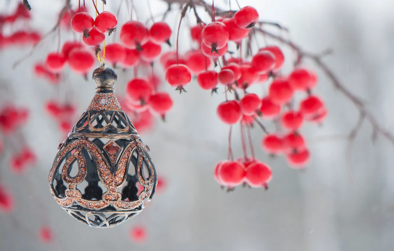 Photo wallpaper berries, holiday, toy, decoration