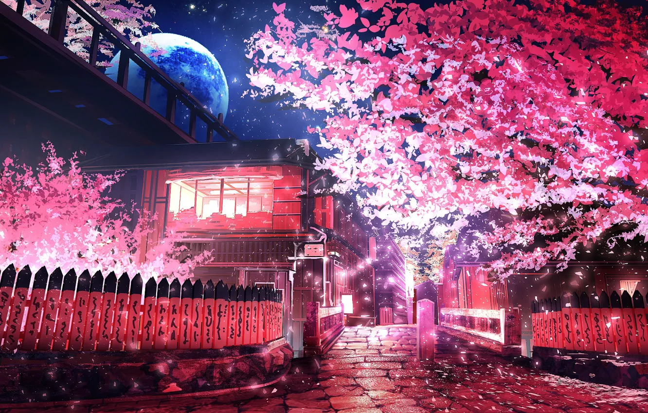 Photo wallpaper trees, night, the moon, street, spring, smile