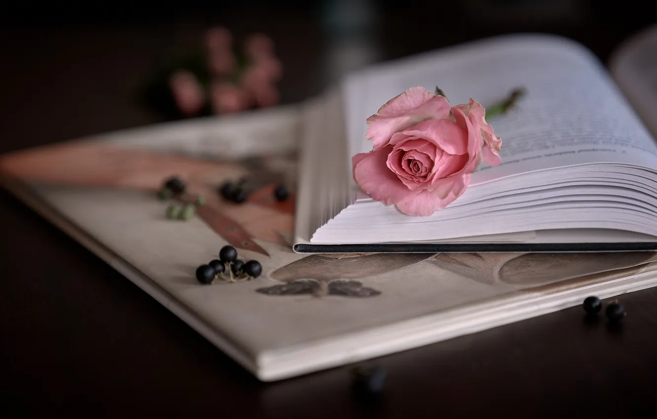 Photo wallpaper flowers, berries, the dark background, table, roses, bouquet, book, pink