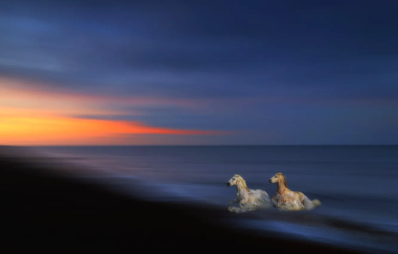 Photo wallpaper sea, wave, the sky, light, sunset, nature, the dark background, blue