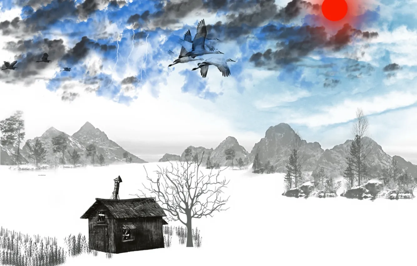 Photo wallpaper winter, bird, home