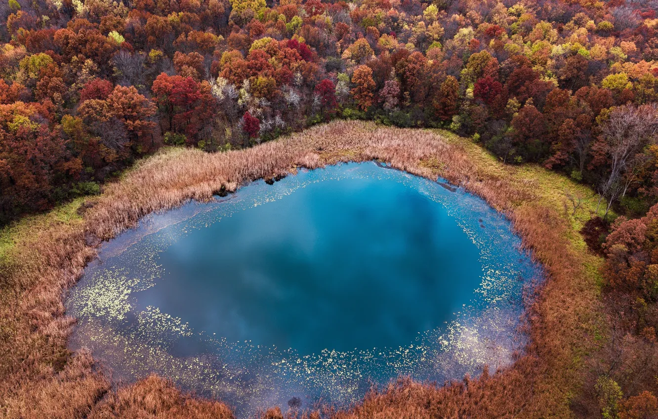 Photo wallpaper autumn, forest, lake, the