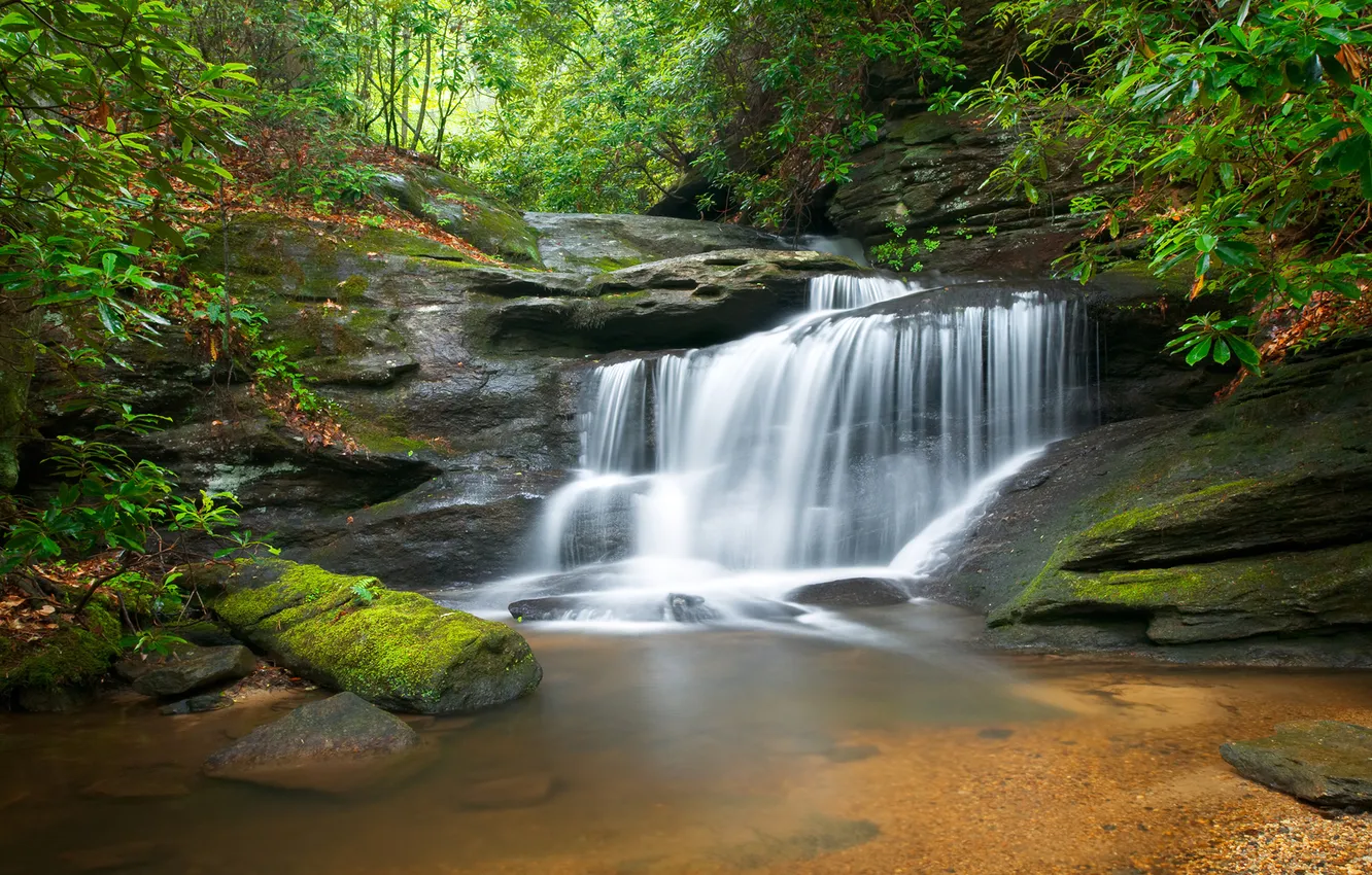 Photo wallpaper forest, nature, river, waterfall