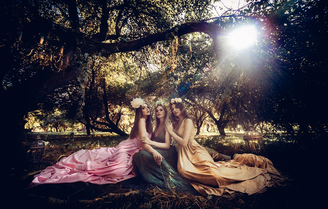 Photo wallpaper girl, the sun, trees, model, portrait, dress, outfit, three