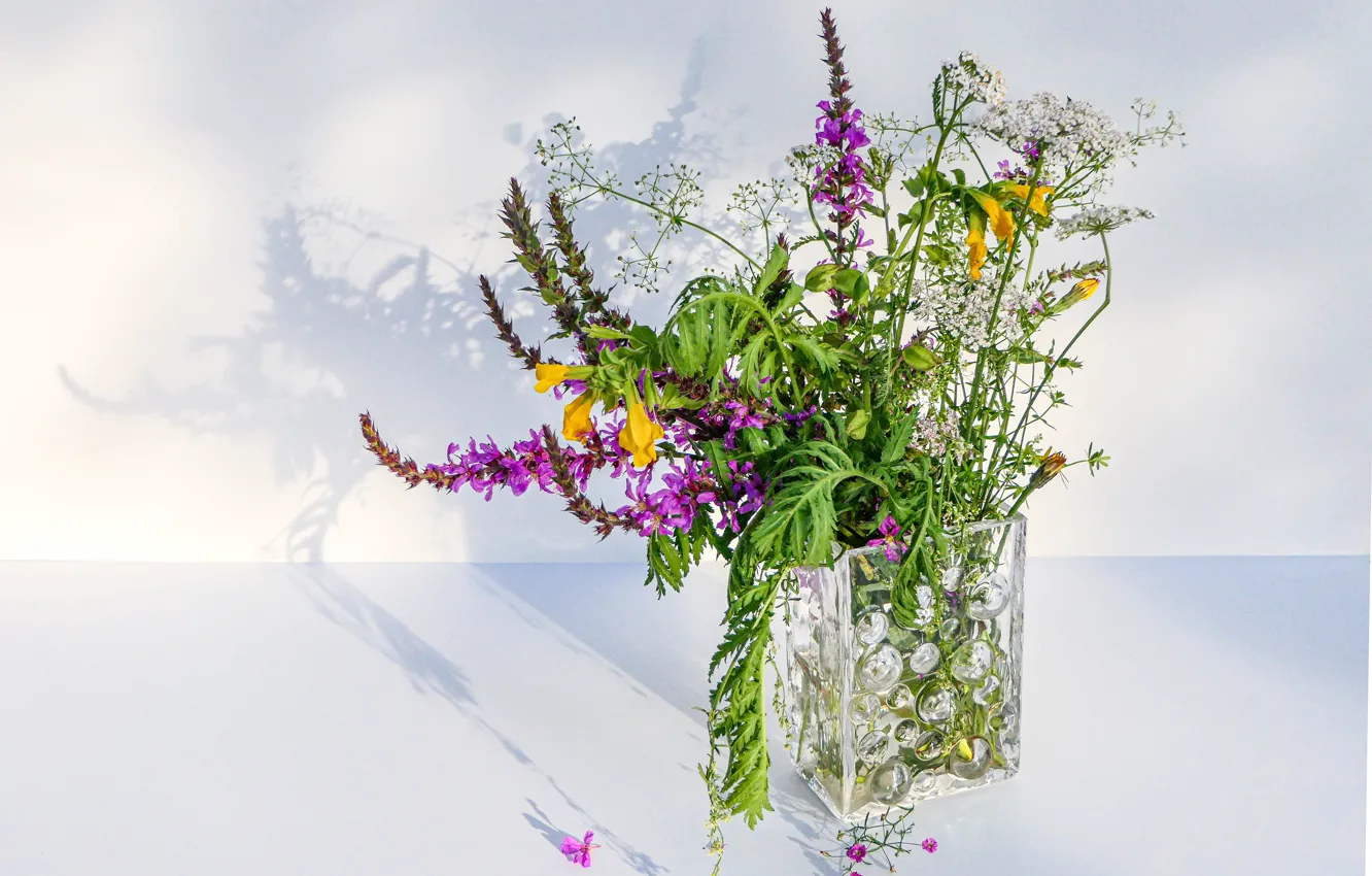 Photo wallpaper flowers, bouquet, vase, light background, field, different