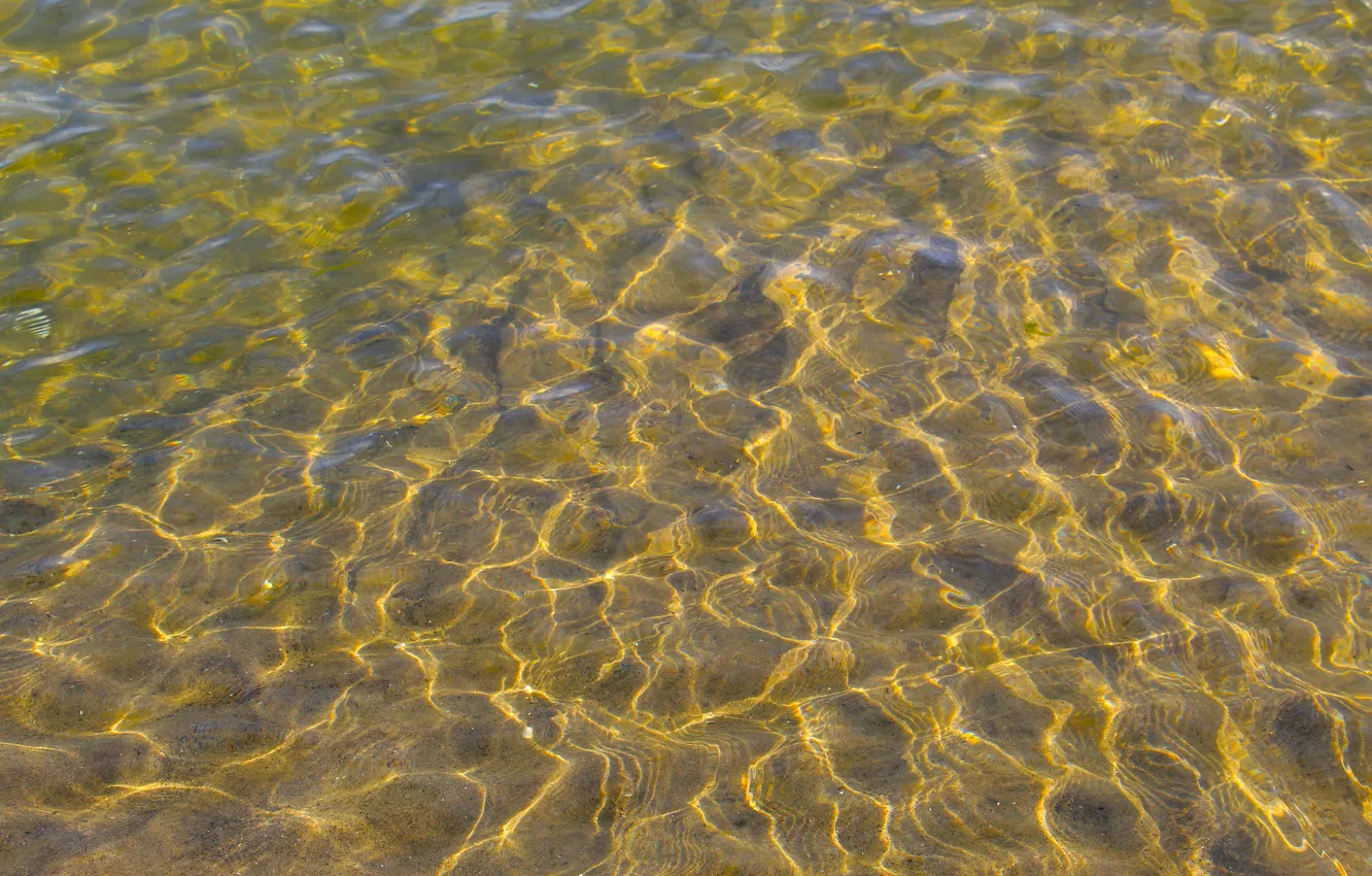 Photo wallpaper wet, water, pattern