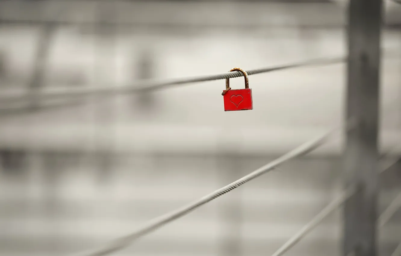 Photo wallpaper background, heart, clasp