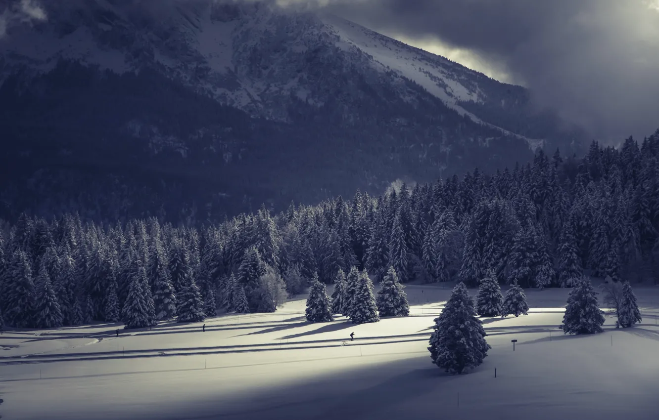 Photo wallpaper winter, mountains, skier