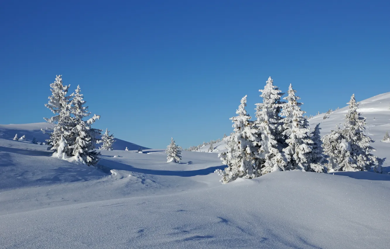 Photo wallpaper winter, forest, the sky, light, snow, blue, hills, in the snow